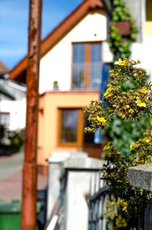 Relax Penzion U Adama Dolná Tižina Exterior foto